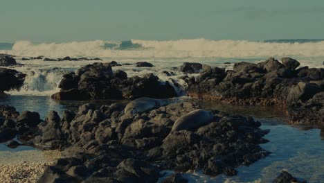 Die-Tosenden-Weißen-Wasserwellen-Am-Horizont-Treffen-Mit-Gewalt-Auf-Den-Von-Felsblöcken-Gesäumten-Strand-Und-Füllen-Die-Gezeitentümpel,-Wenn-Die-Flut-Hereinbricht