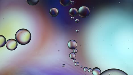 abstract colorful food oil drops bubbles and spheres flowing