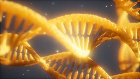 estructura helicoidal doble de la cadena de adn animación de primer plano