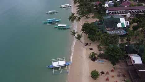 Three-dogs-running-playful-on-golden-sand-beach-past-a-man-sleeping-on-a-hammock-under-Coconut-trees,-itaytay-beach---Port-Barton