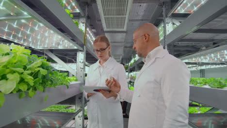 a group of scientists from men and women in white coats with a test tube in their hands discuss and lead a discussion on the topic of biologically effective additives for growing vegetables and fruits while in a vertical farm.