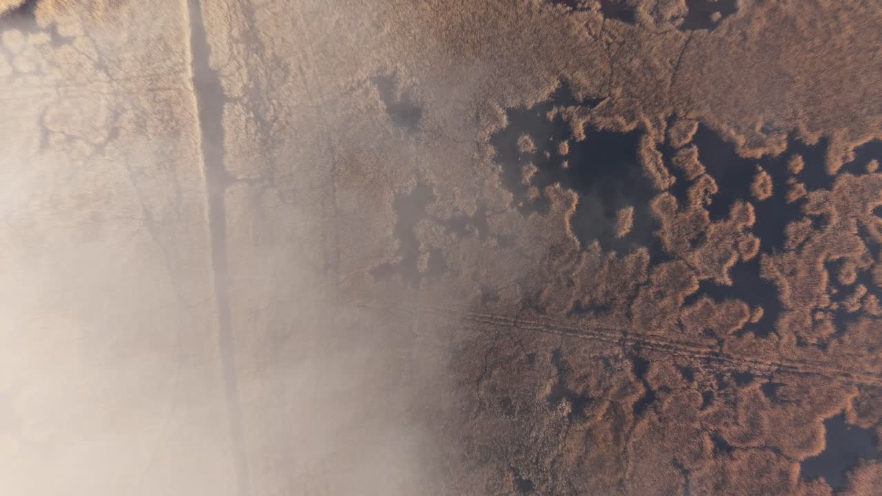 An atmospheric aerial view of a marshland partially covered by drifting fog. The landscape reveals organic patterns of reeds and dark water pools emerging through the mist
