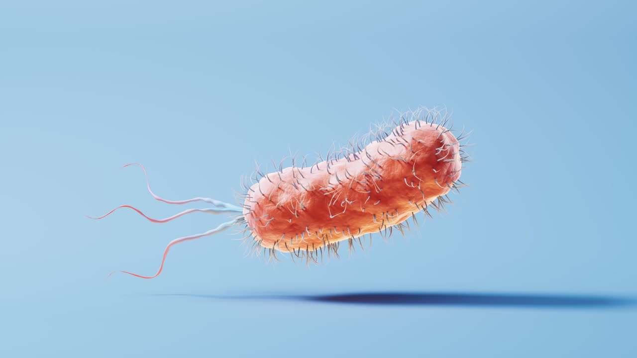Microscopic biomedical bacteria structure, 3d rendering