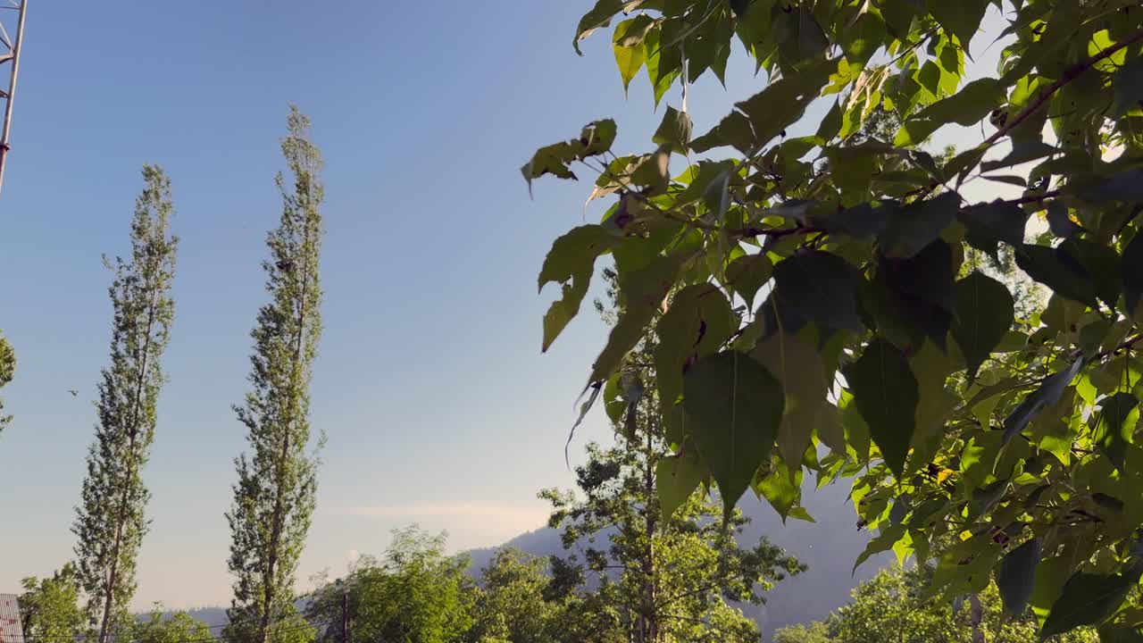 Beauty of Rural India and farmers land, Nature beauty, Hills, Green Fields with Village Life in Forest area and Timeless Travel Escapes