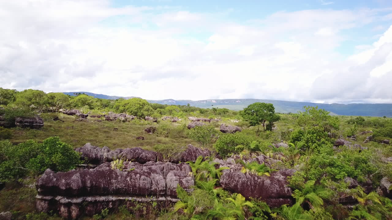 красивый снимок с воздуха, пролетающий низко над колумбийской природой с деревьями и горами