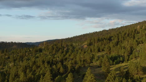 aerial view circling over forest revealing a road in the mountains of utah, usa