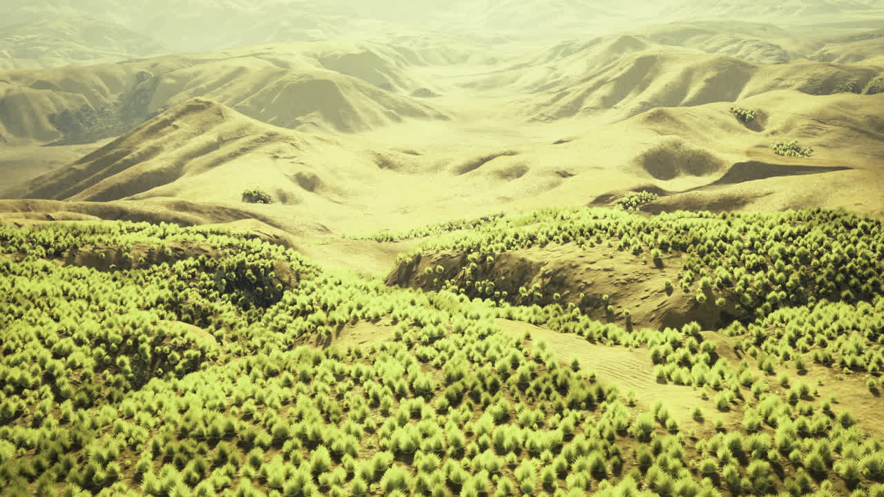 Lush green landscape with rolling hills under bright sunlight at midday