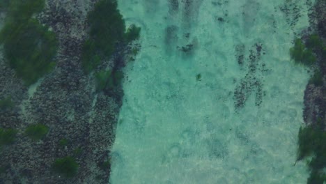 Aerial-view-of-Carlsbad-reef-4k