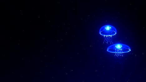 medusas iluminadas con luz de color bajo el agua, animación cg, bucle