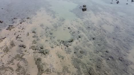 toma aérea de drones de la playa de pipa brasil