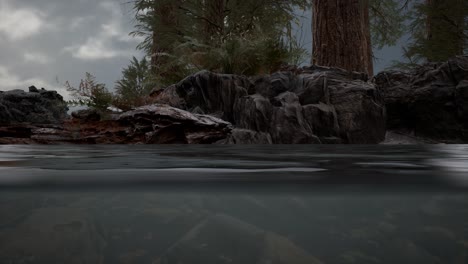 half underwater in northern sea with rocks