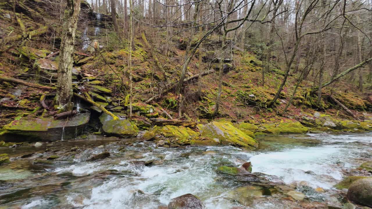 Beautiful lush, mossy stream in the Appalachian Mountains on a rainy, early spring day
