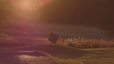 a closeup shot of a golf course at sunset