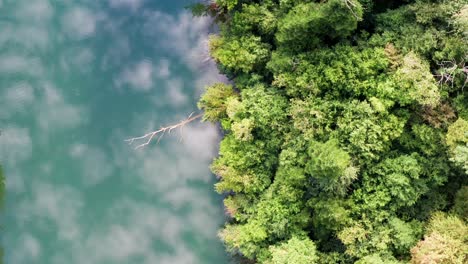 clouds reflecting in deep green-blue river through forest aera, aerial drone