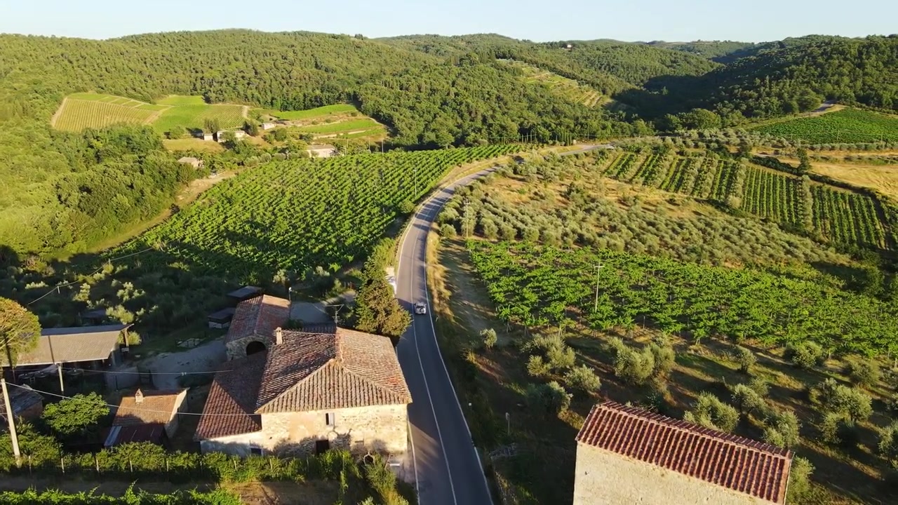 Una tranquilla strada di vigneti immersa nella calda luce dorata di un tramonto estivo, 4K