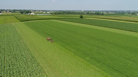 Horses-and-Amish-Worker-engage-in-plowing-the-field-with-classic-farm-equipment