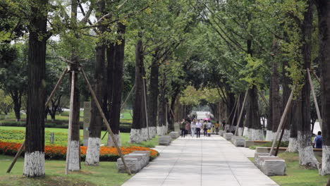 leisure people in chongqing central park