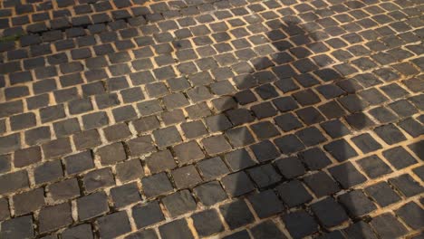 A-man-casting-his-own-shadow-while-standing-on-a-brick-street-pavement-as-other-people-pass-by-casting-their-own-shadows-as-well