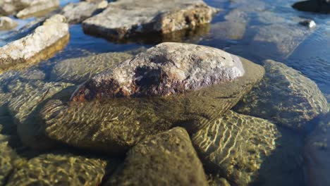 agua fría y clara corriendo a través de las rocas