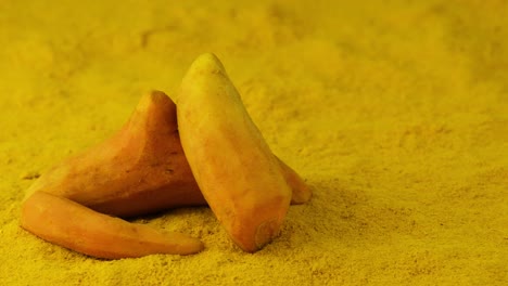 closeup of turmeric raw roots sitting on turmeric powder, circle pan