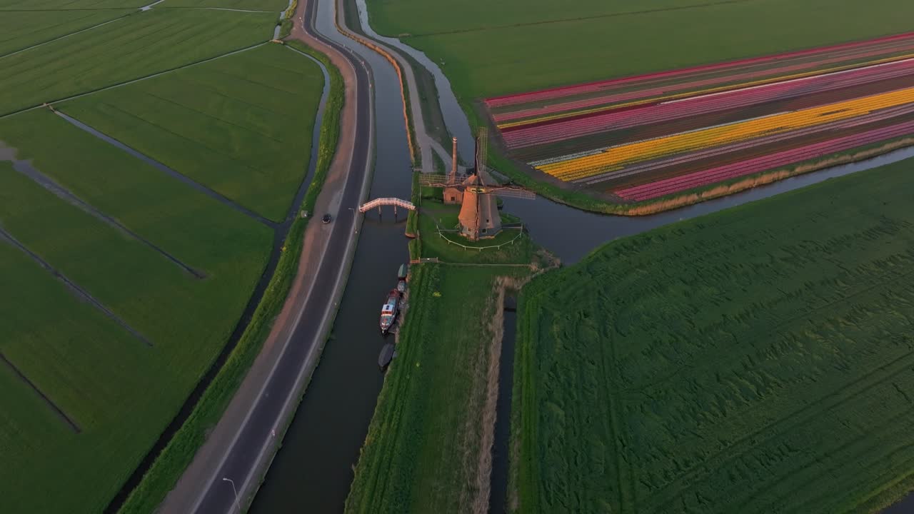 Vista aerea di un canale rurale olandese che si snoda tra tulipani e un mulino a vento