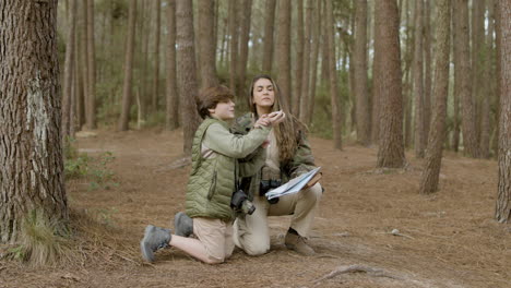 mujer caucásica y su hijo curioso explorando la vida silvestre en el bosque de pinos el día de otoño