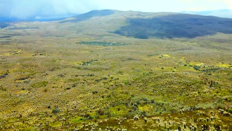 prepárate para estar encantado mientras te llevamos en un recorrido a vista de pájaro de uno de los paisajes más impresionantes de colombia.