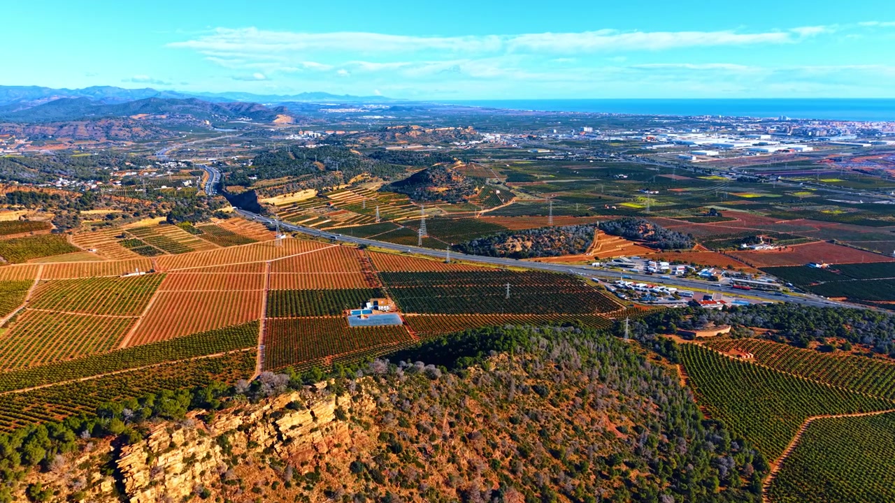 Vista aerea di piantagioni di agrumi vicino alla costa mediterranea in Spagna. Ampia ripresa aerea di aranceti in settori geometrici con autostrada, montagne e mare in lontananza sotto un cielo azzurro.