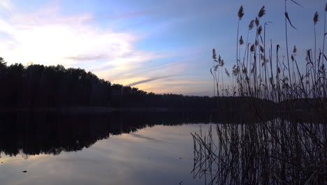 noche hermosa y tranquila con cielo nublado de color azul y naranja y reflejo del bosque en la superficie del lago