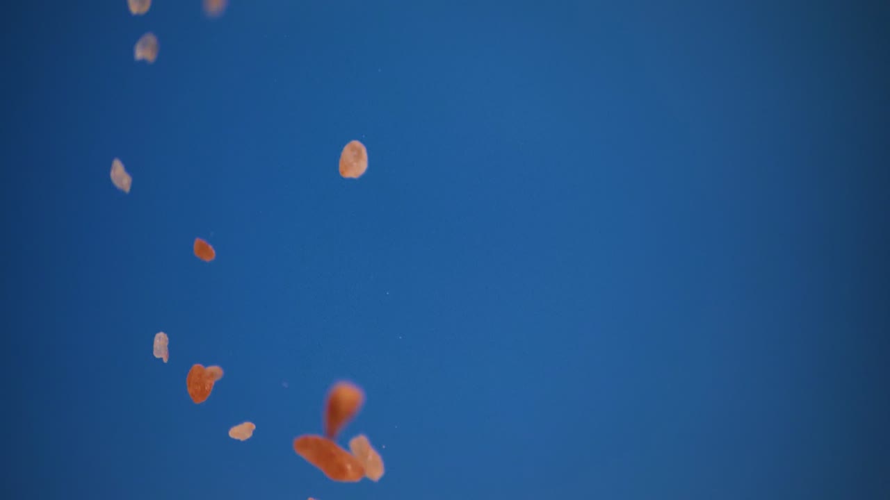 Himalayan pink salt brushes on a blue background