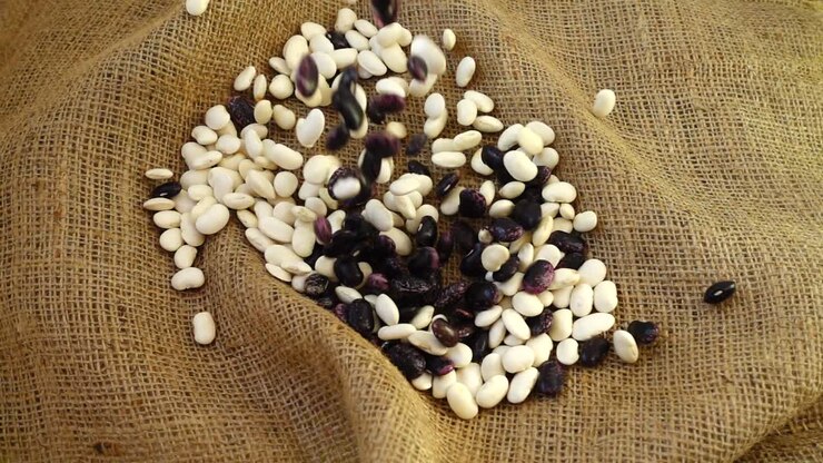 Falling of haricot on burlap. Slow Motion. . Slow Motion