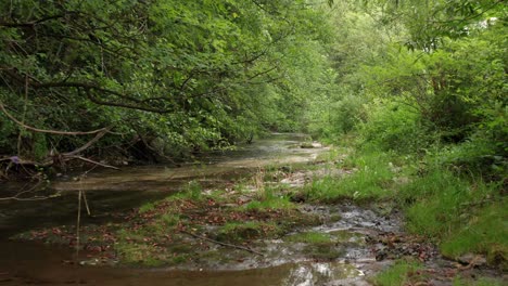 Tranquilo-Río-De-Agua-Clara-Que-Fluye-En-El-Bosque-De-Serbia--antena-Baja