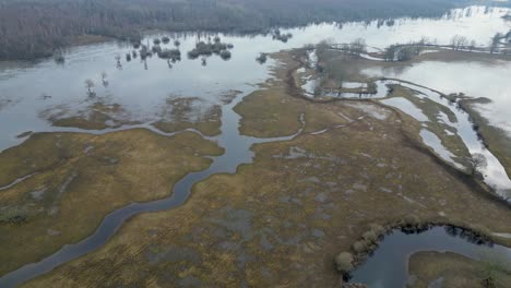 Vista-De-Pájaro-Del-Humedal-Mágico-En-El-Parque-Nacional-De-Soomaa-En-Estonia