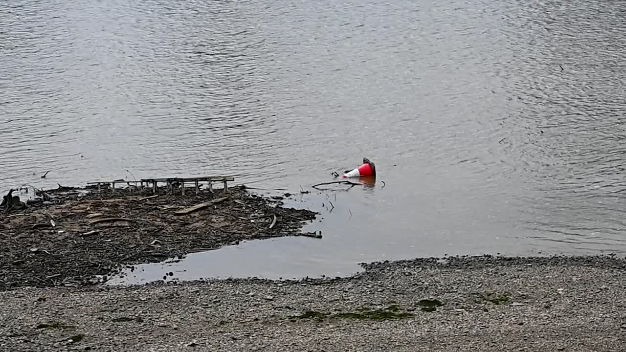 Road Cone within the River Thames, London, United Kingdom