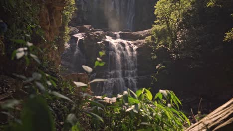 a breathtaking view of nauyaca waterfall surrounded by dense tropical jungle in southern costa rica, illuminated by the golden glow of sunrise