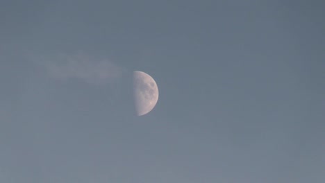 luna en la tarde