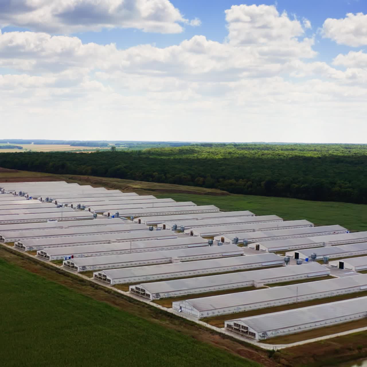 White farmhouses in farmland. Modern farm buildings on the green field. Agricultural complex surrounded by beautiful nature. Aerial view