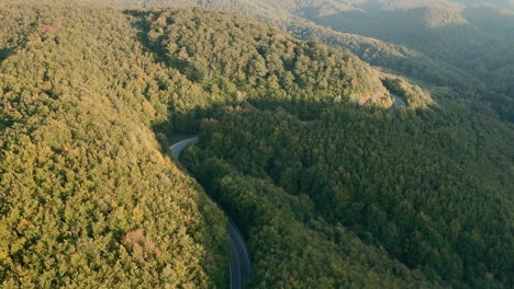 revelación aérea de un dron de los coches que circulan por una sinuosa carretera de montaña en medio de un bosque