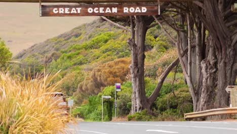 a car travels along the scenic great ocean road, surrounded by lush greenery and iconic landscapes, under natural daylight