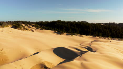 Dolly-in-drone-shot-of-sandy-dunes-with-green-trees-in-the-background