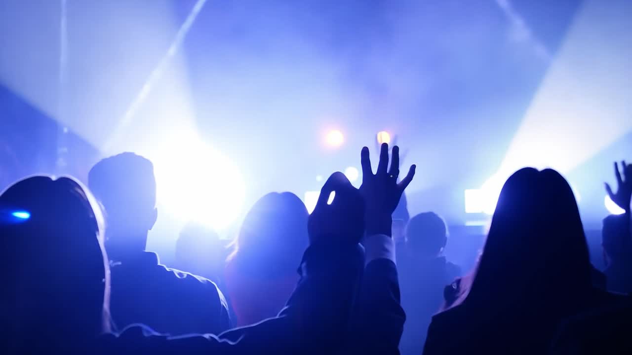 Folla a un concerto