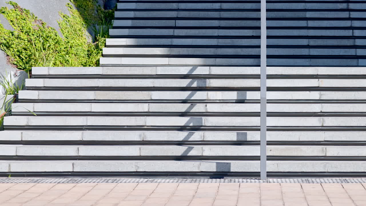 mujer corporativa viajando con equipaje