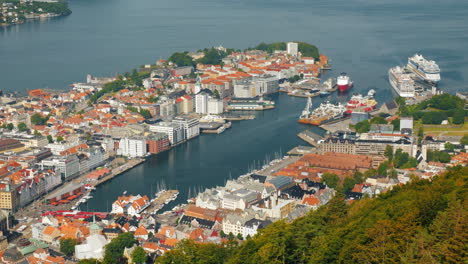 view from above the city of bergen and the port with sea liners