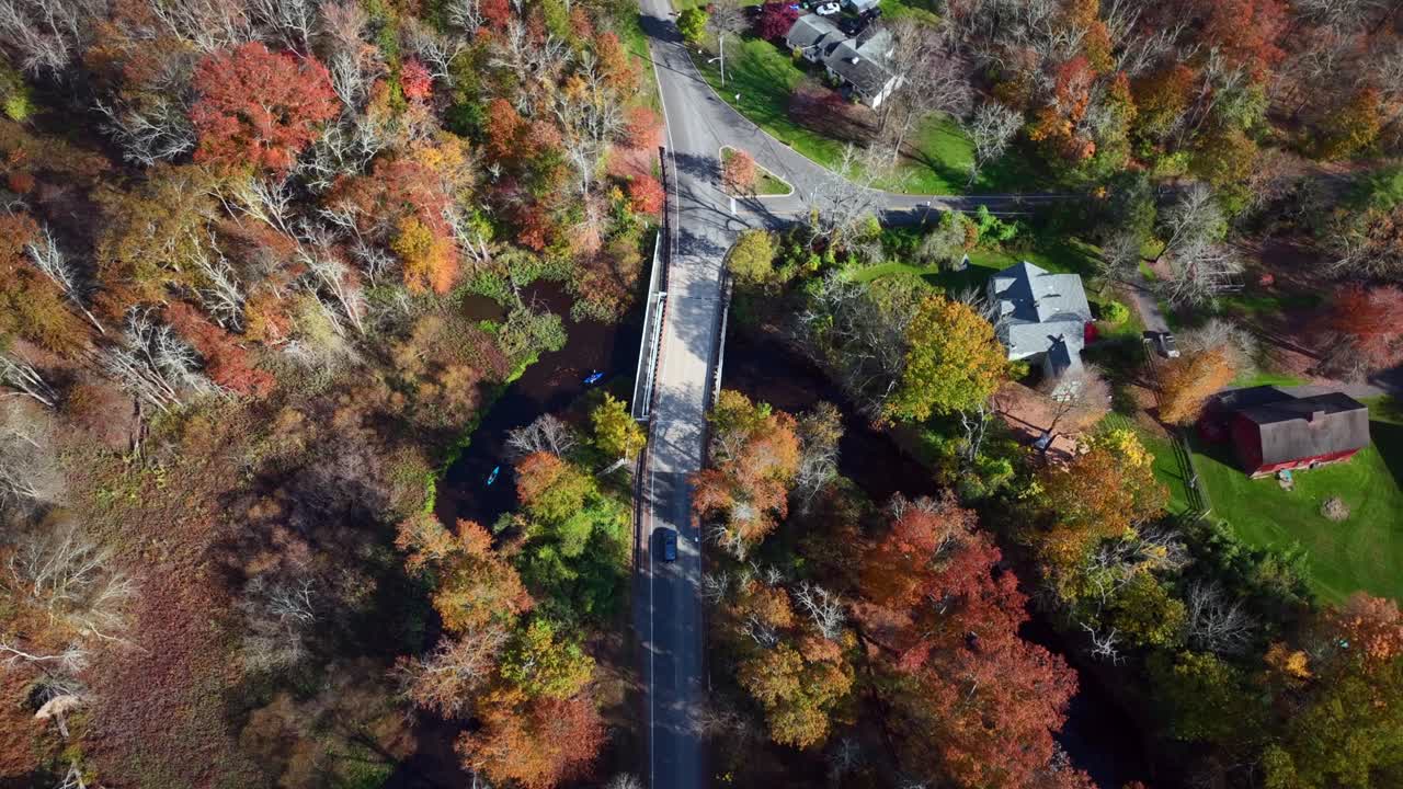 una vista aérea de arriba hacia abajo sobre una tranquila carretera de campo con árboles de colores a ambos lados en un día soleado de otoño
