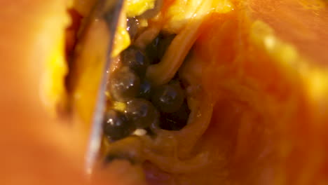 slow motion macro close up of a spoon scooping the seeds out of a fresh, juicy papaya