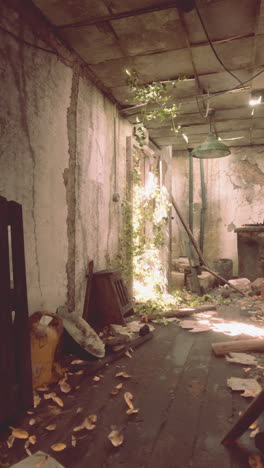 abandoned house overgrown with plants