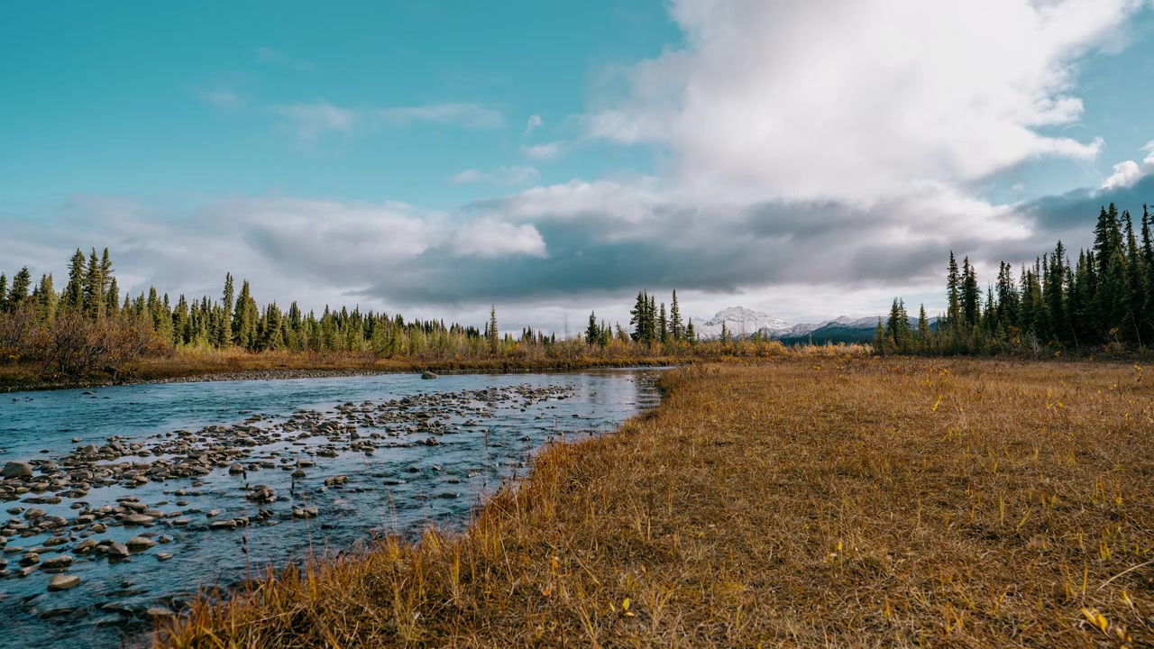 Timelapse di un ruscello idilliaco che scorre verso una montagna in autunno nel Parco Nazionale di Denali vicino al Monte McKinley, Denali.
