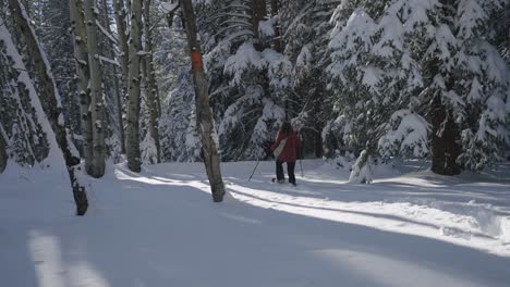 Walking-through-Deep-Snow-in-the-Forest