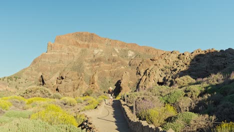 landscape of teide national park and woman walking in distance, back view