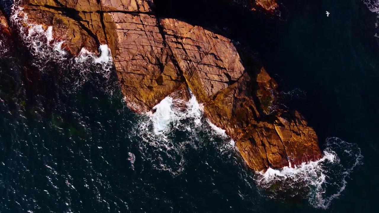 Scogliera rocciosa illuminata dal sole con onde che si infrangono, da prospettiva drone. Roccia marrone fratturata con schiuma bianca e un uccello marino che vola sopra acqua verde petrolio scuro.